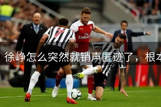 徐峥怎么突然就销声匿迹了，根本不是单纯过气，原来是整个影视圈都不敢用他
