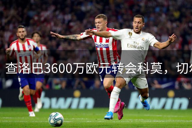查洛巴3600万欧元转会科莫，切尔西后防阵容面临调整